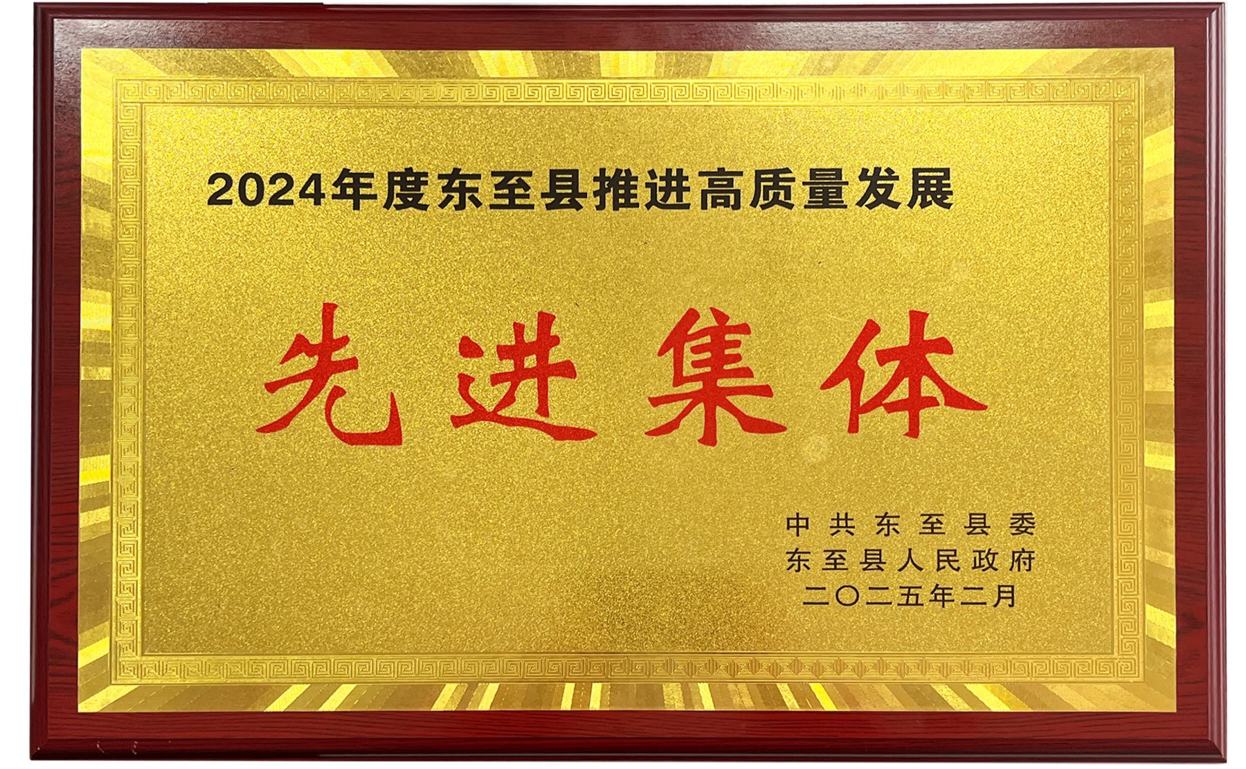 堯舜2024年度東至縣高質(zhì)量發(fā)展先進(jìn)集體